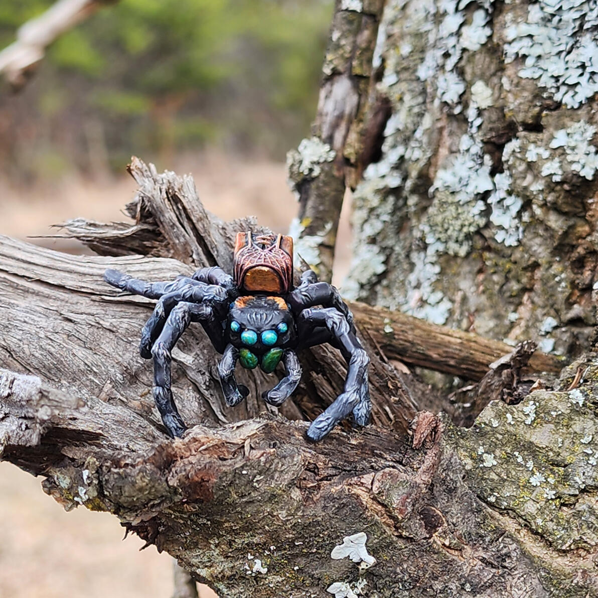 Pack Spider
