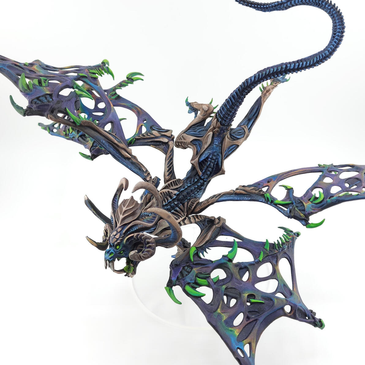 Neraxesa